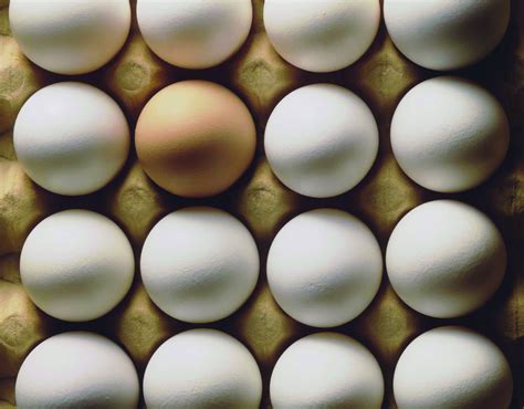 Eggs & Egg Products — Rose Acre Farms .